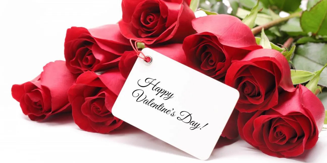 US-Colombia trade war? Why Valentine’s Day roses imported through Miami may be more expensive US-Colombia trade war? Why Valentine’s Day roses imported through Miami may be more expensive